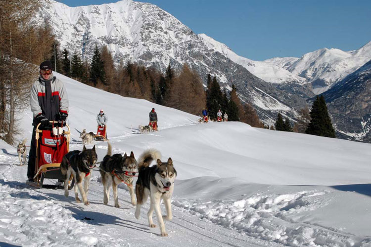 Husky village